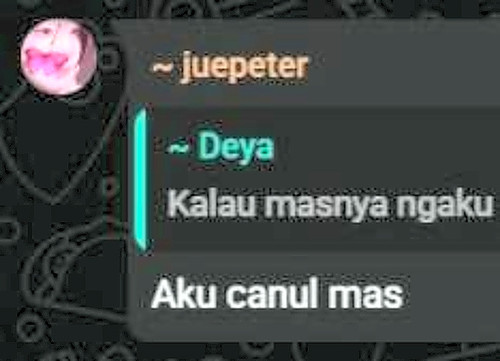 jagoanproject remini.jpg
