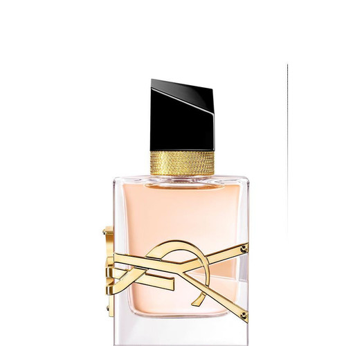 YSL998605 02.jpg