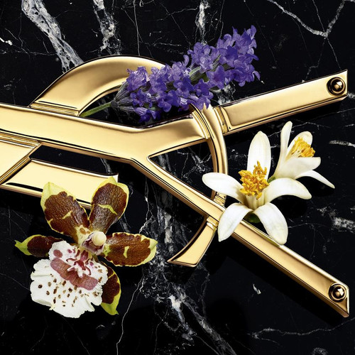 YSL702900 02.jpg