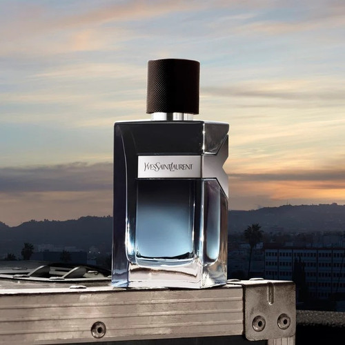 YSL238400 02.jpg