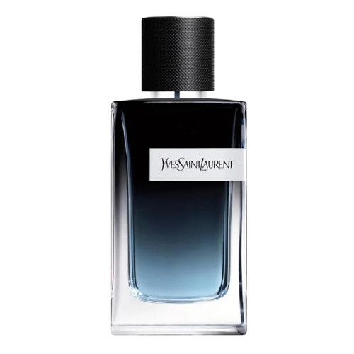 YSL238400 03.jpg