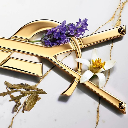 YSL998606 02.jpg