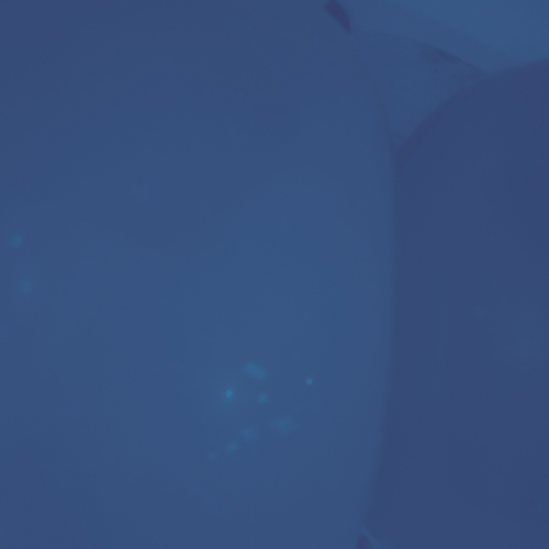 temp.png