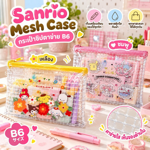 Sanrio Mesh Case 4843.jpg