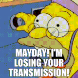 1000009930.gif