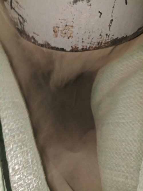 b54632b7c689.jpg