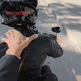 43.gif