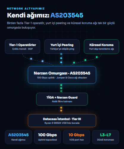 13 network.gif