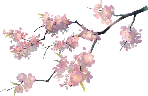 76c41c6f2u377e0eeea5fddbf94c567b.png