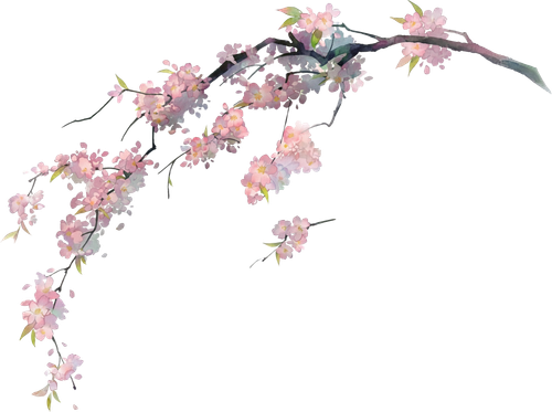 7373535eeqcc2dc58524304f769f5de0.png