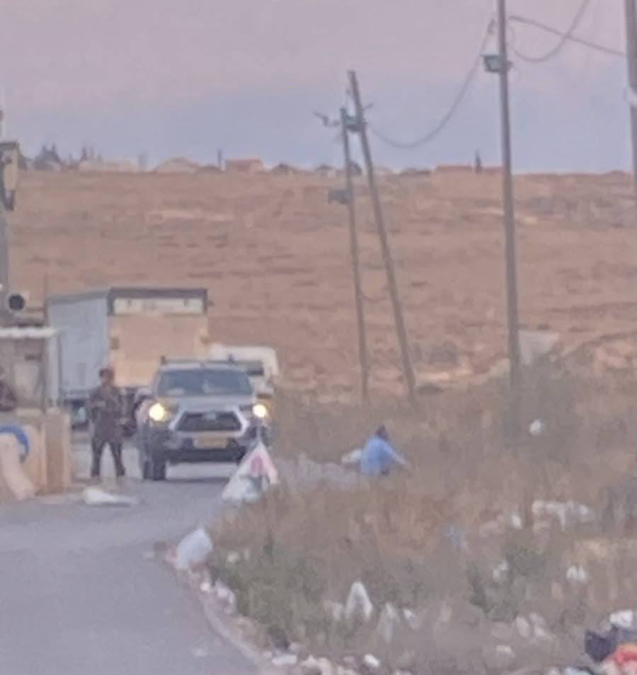 صورة الخبر