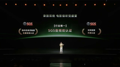 audio sgs.jpg