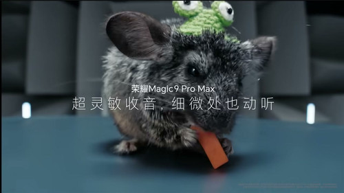 mic intro.jpg