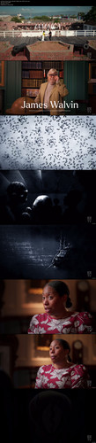 8e9e329e69d3c3d8f683e66a81ec4f12b thumbs.jpg