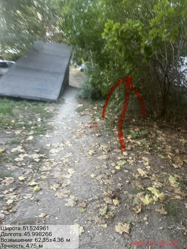 6aba8600102ed.jpg