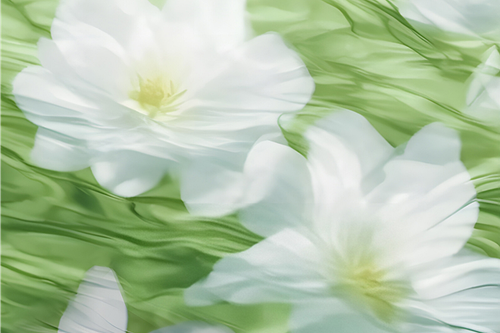 1000025122.png