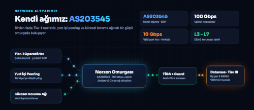 13 network.gif