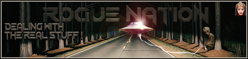 BogRoll Banner.jpg