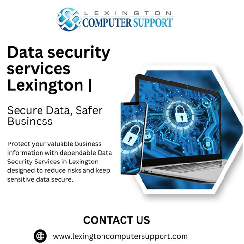 Data Security Services Lexington | Secure Data, Safer Business.jpg