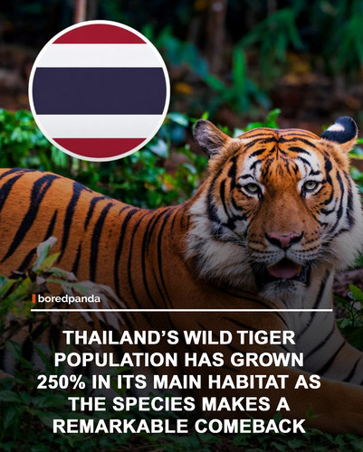 img facts.jpg