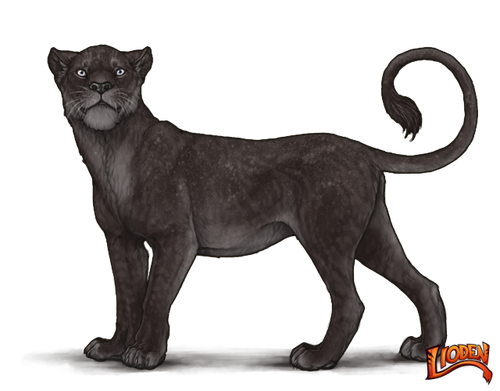 lioden wardrobe (1).png