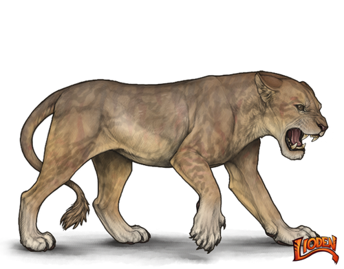 lioden wardrobe (3).png