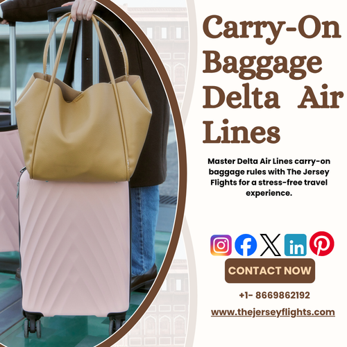 Carry On Baggage Delta Air Lines.png