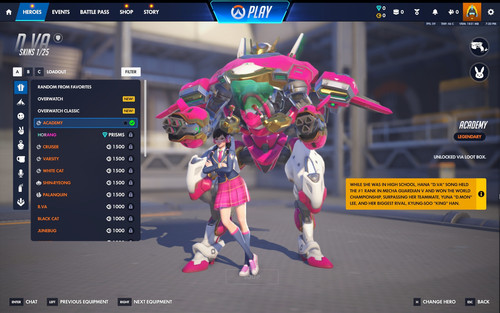 ACADEMY D.VA.jpg