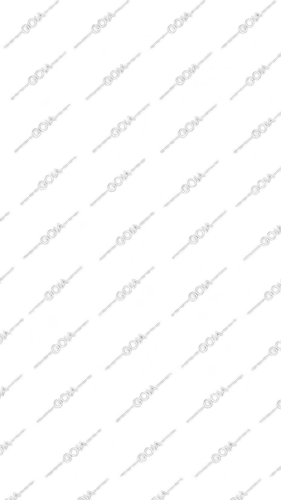 1001246820.png