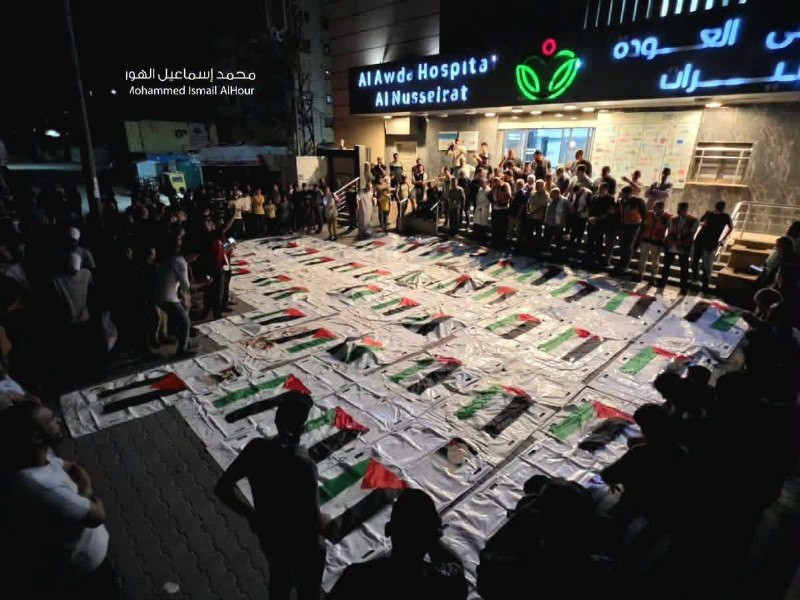 صورة الخبر