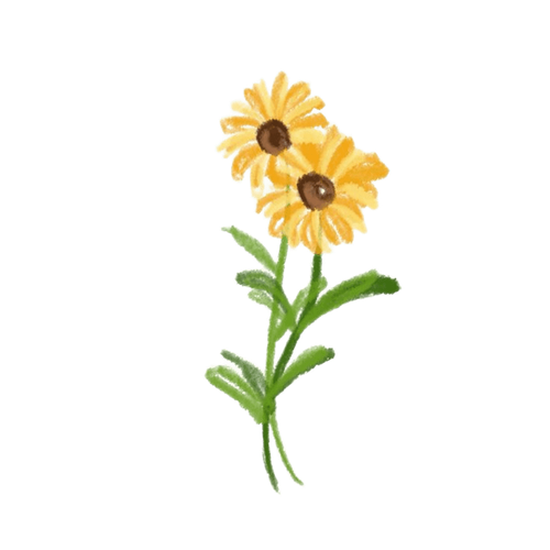 sunflower.png