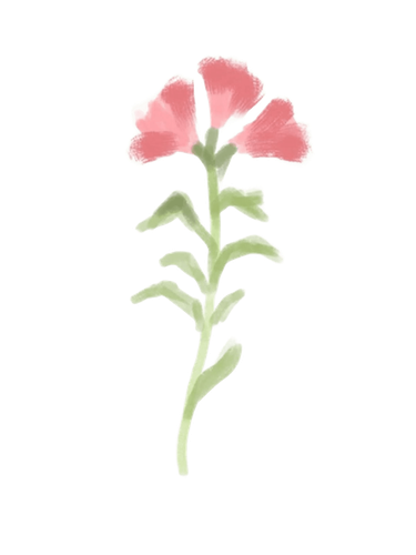 pink.png