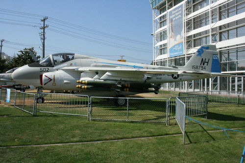 IMG 3651.jpg