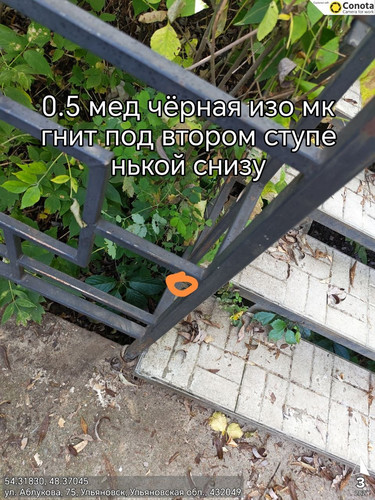 6abaa20a5d5a7.jpg