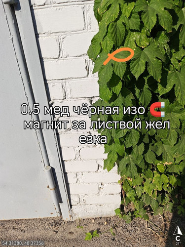 6abaa20158167.jpg
