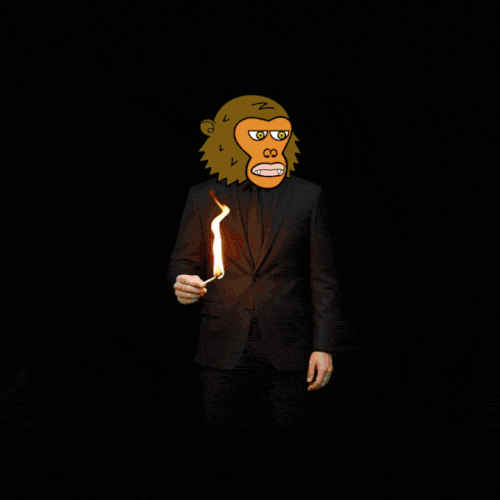 027.gif