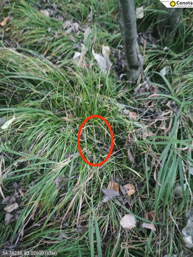 6abaa0d001003.jpg