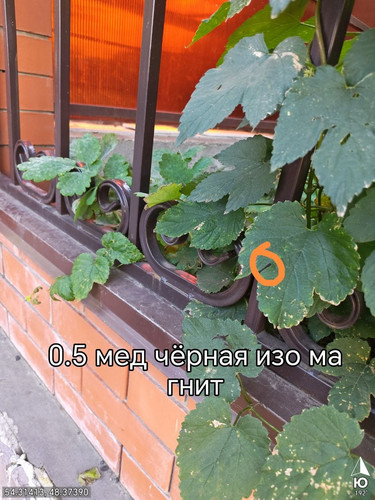 6abaa20968150.jpg