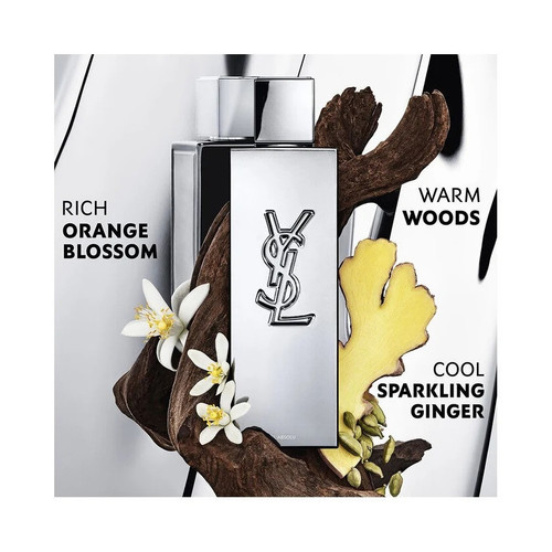 YSL999178 01.jpg