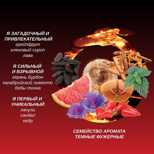 TR0000079 01.jpg