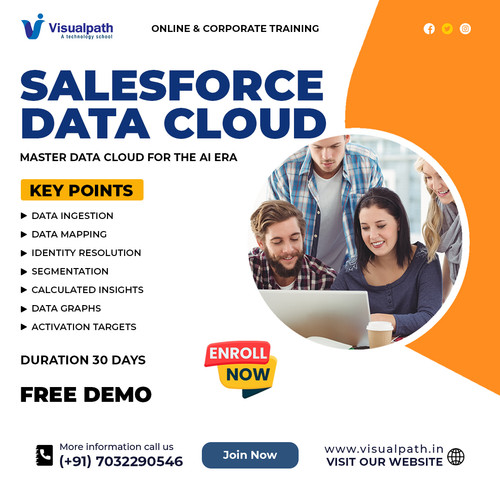 Master Data Cloud Salesforce Training | Hands-On Projects.jpg