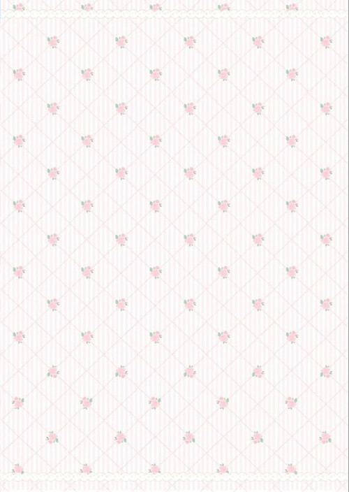  ˋˏ—— ;🐇 ⋅₊˚.1