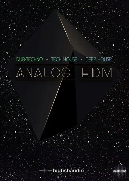 Big Fish Audio Analog EDM MULTiFORMAT