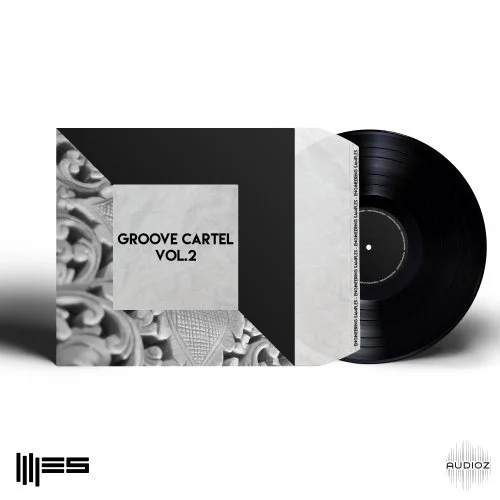 Engineering Samples Groove Cartel Vol.2 WAV MiDi LENNAR DiGiTAL SYLENTH1