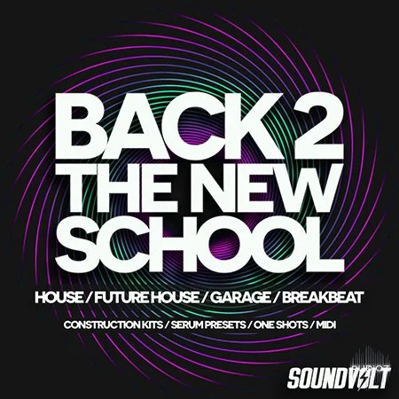Soundvolt Back 2 The New School MULTiFORMAT