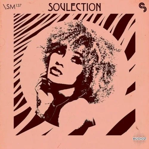 Sample Magic Soulection MULTiFORMAT