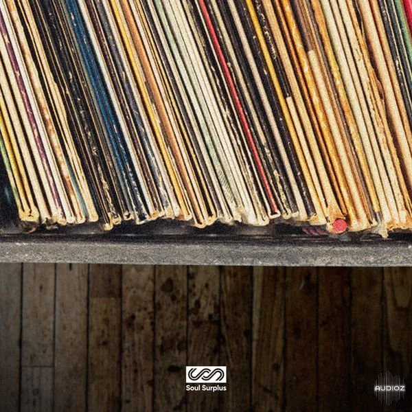 Soul Surplus Dungy Bins WAV-DECiBEL