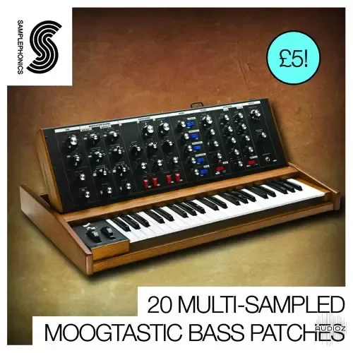 Samplephonics Moogtastic Bass Multi-0RGan1c