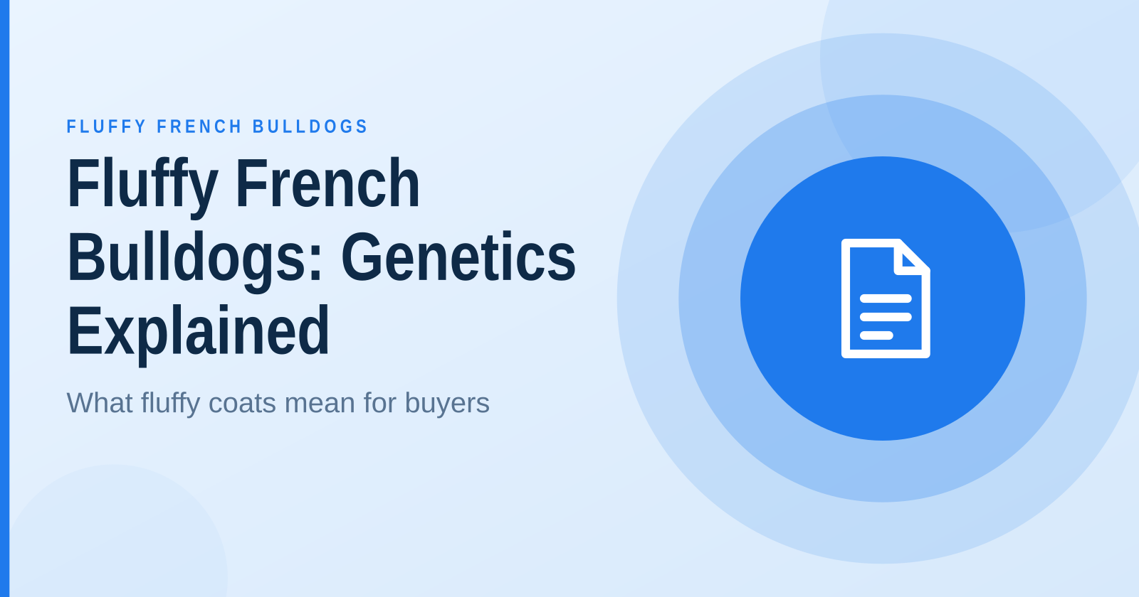 Fluffy French Bulldogs: Origins and Genetics Explained
