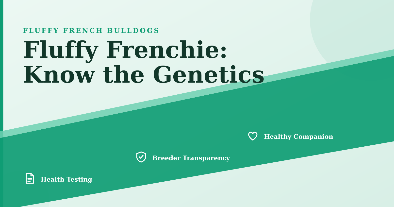 The Origins and Genetics of Fluffy French Bulldogs: Why the Long Coat Exists